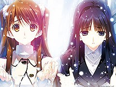 WHITE ALBUM2 ر 2023 reunionס1216ǳšͥο褵߷ ߤŷܿνб餬