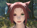 MMORPG鿴ԤFFե£ֿFFXIVץɡ2ϡιΩΤäƤ֥饹פּ²פʤɤҲ