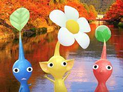 󥰥٥ȡPikmin Bloom Tour 2023ԡʲꥨꥢˡפ1112˳šߤμդ1081800ޤ