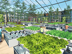 ȿʪƱƥǰƤȡ֥ݥ˥åפθǤ륷Hydroponics Farm & Store Simulatorסۿ